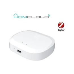 Homcloud - Centralina intelligente Hub - Zigbee+Bluetooth