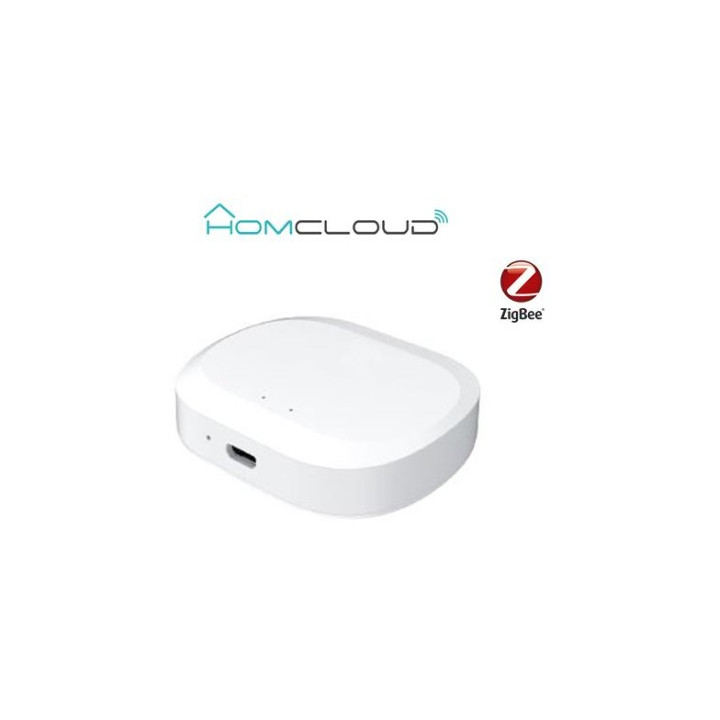 Homcloud - Centralina intelligente Hub - Zigbee+Bluetooth